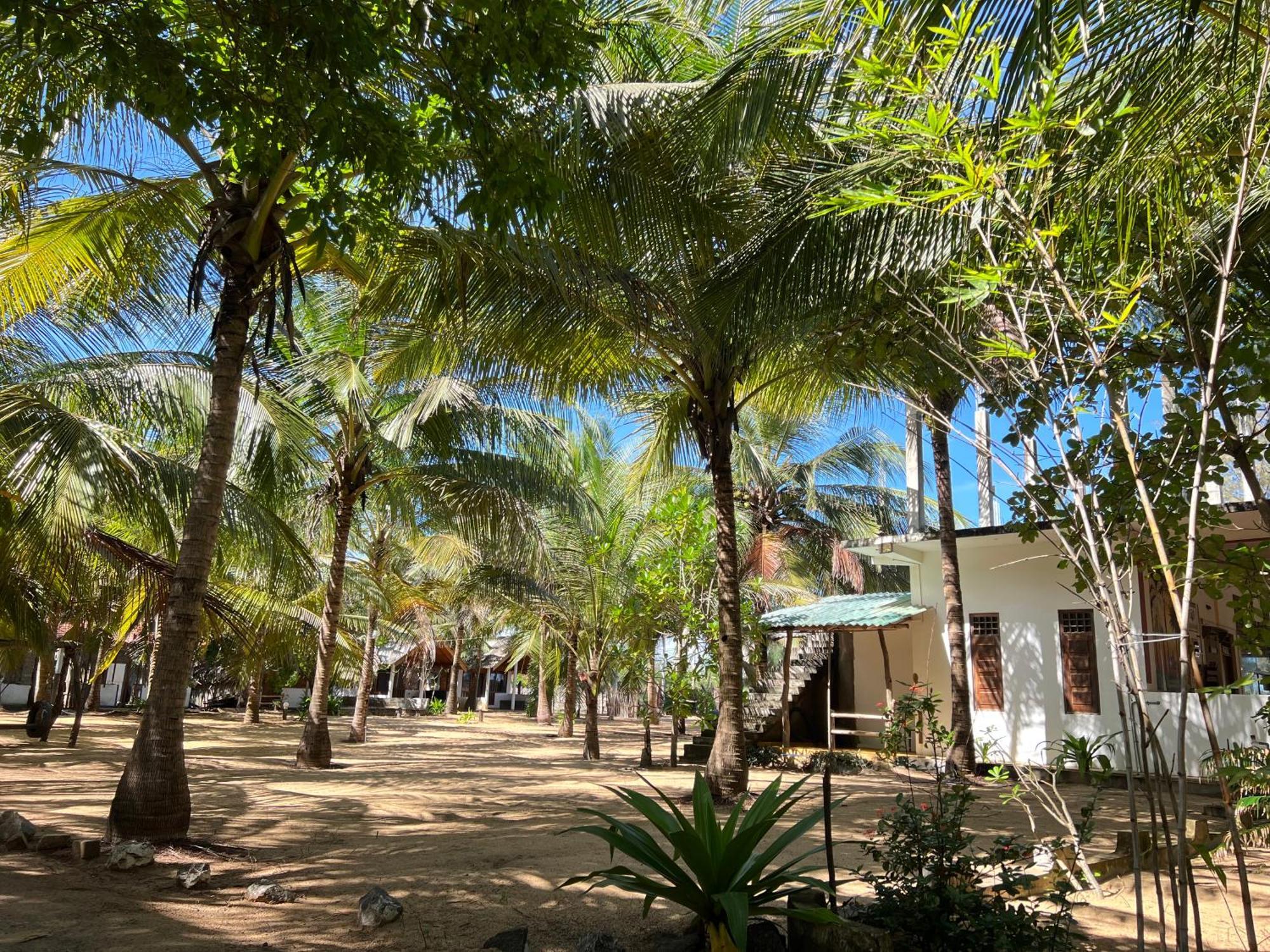 Sand Dune Beach Resort & Surf Camp Arugam Bay Exterior foto