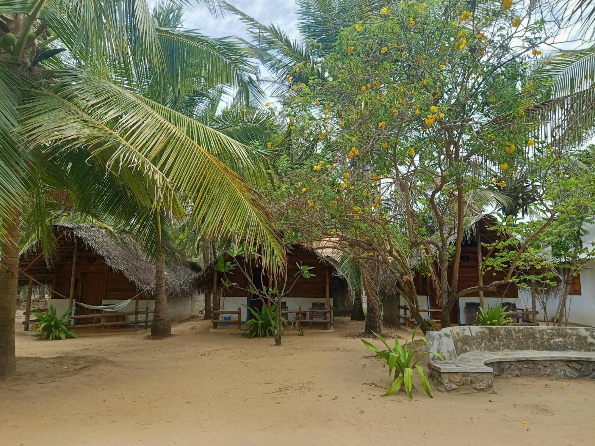 Sand Dune Beach Resort & Surf Camp Arugam Bay Exterior foto